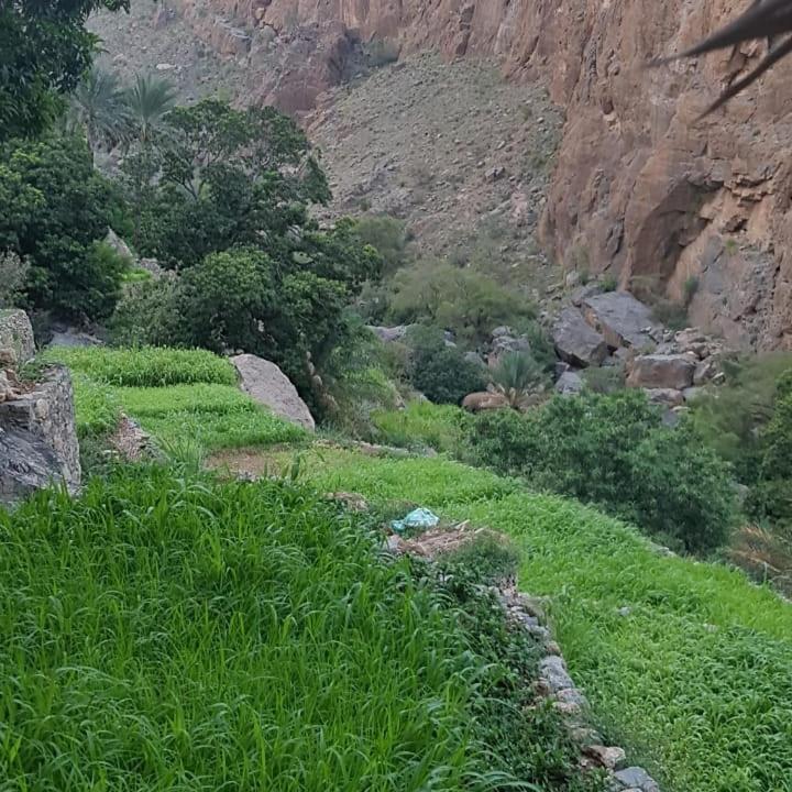 View *